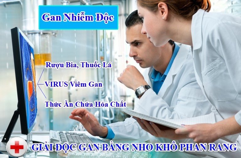 giải độc gan bằng nho khô Phan Rang